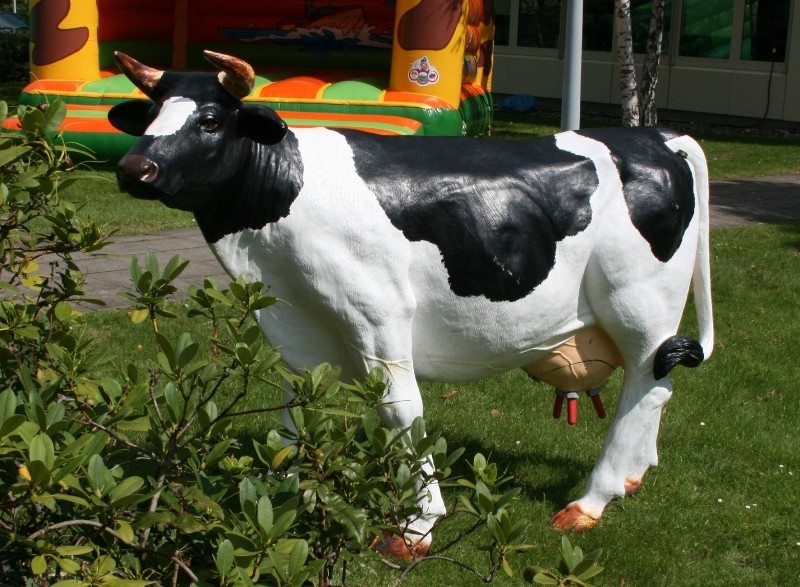 Kuhmelkspiel / Wettmelken / Kuhmelken – 2