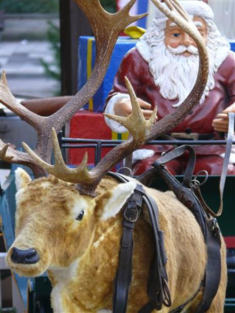 Weihnachts Dekoration - Hirsch , Weihnachten , Weihnachtsmarkt – 3